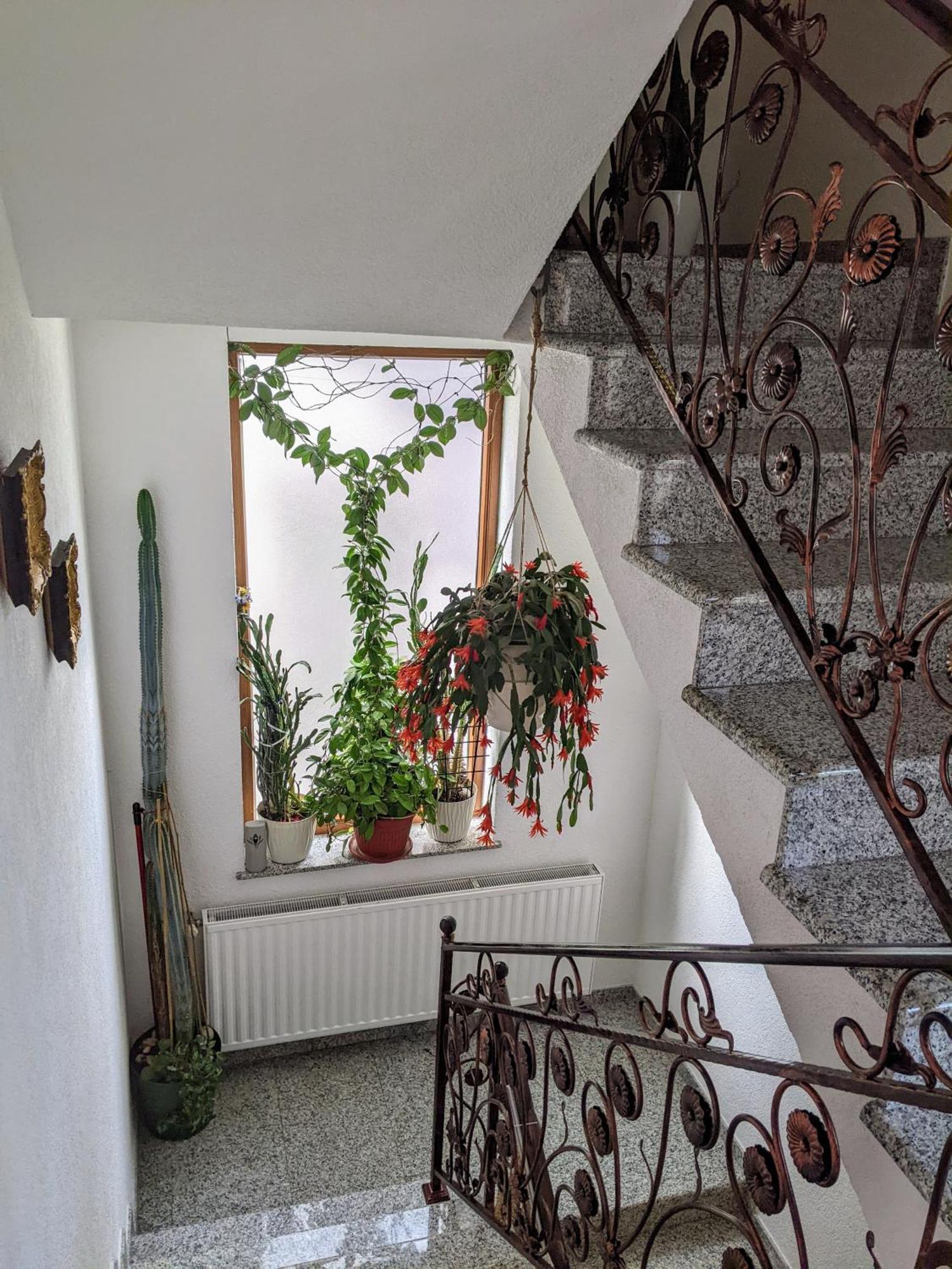 Apartmani Hrastik Бихач Экстерьер фото