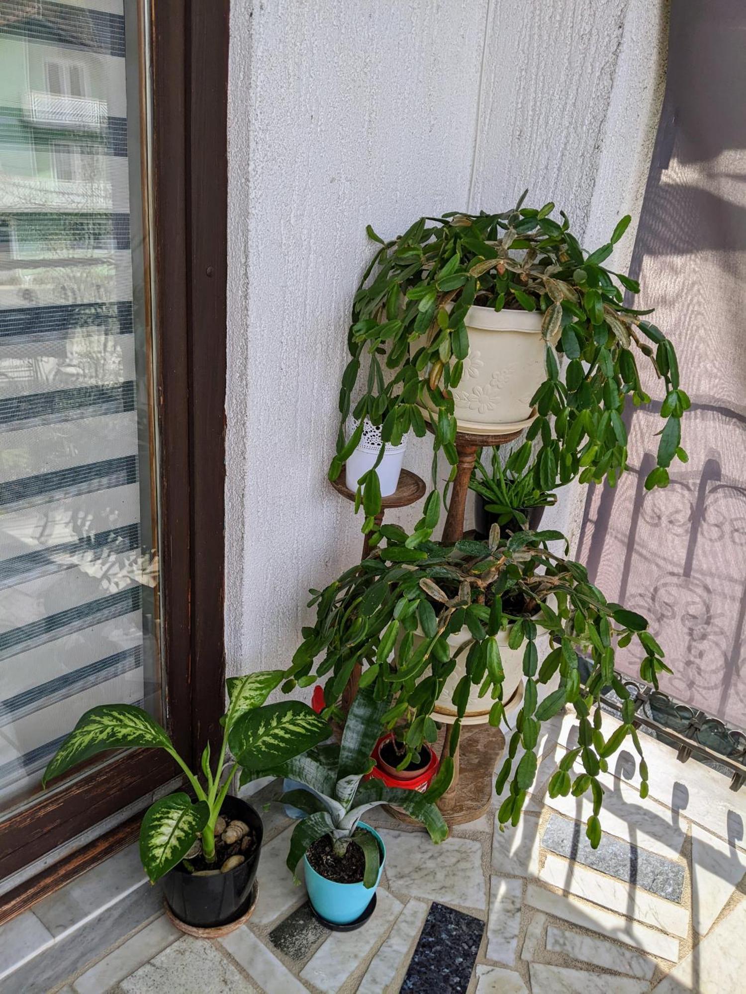 Apartmani Hrastik Бихач Номер фото