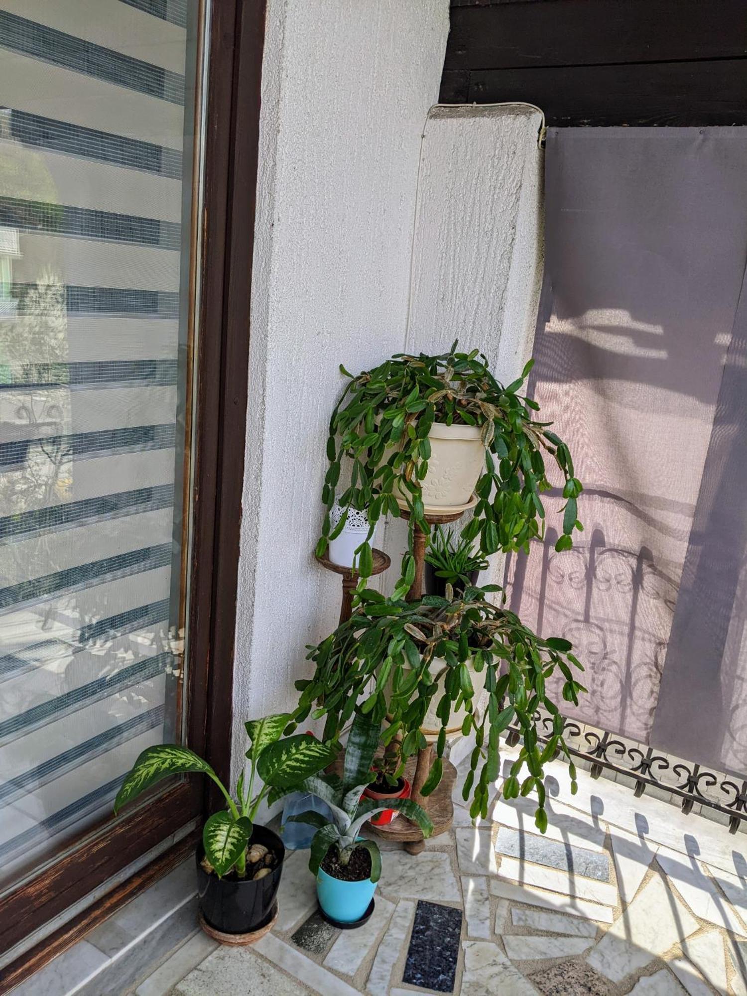 Apartmani Hrastik Бихач Номер фото